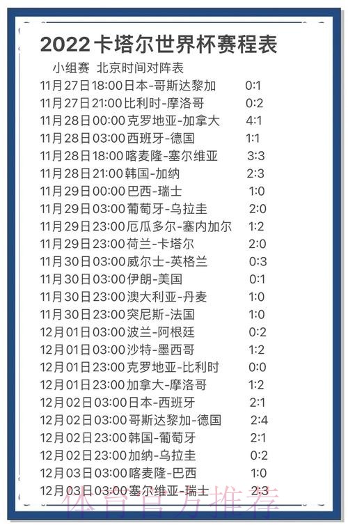 全面解读：世界杯赛事分析与预测